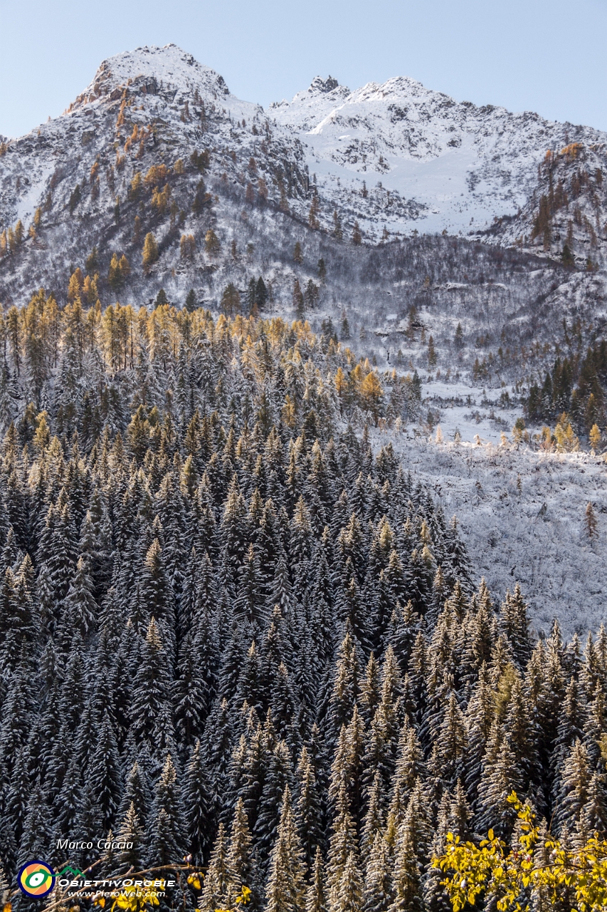 La prima neve autunnale al Calvi-60.JPG